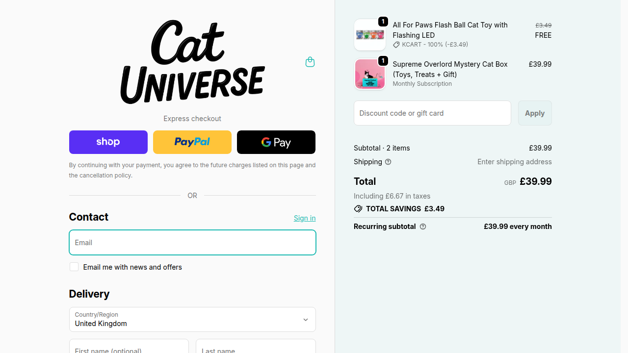 Shopify checkout page