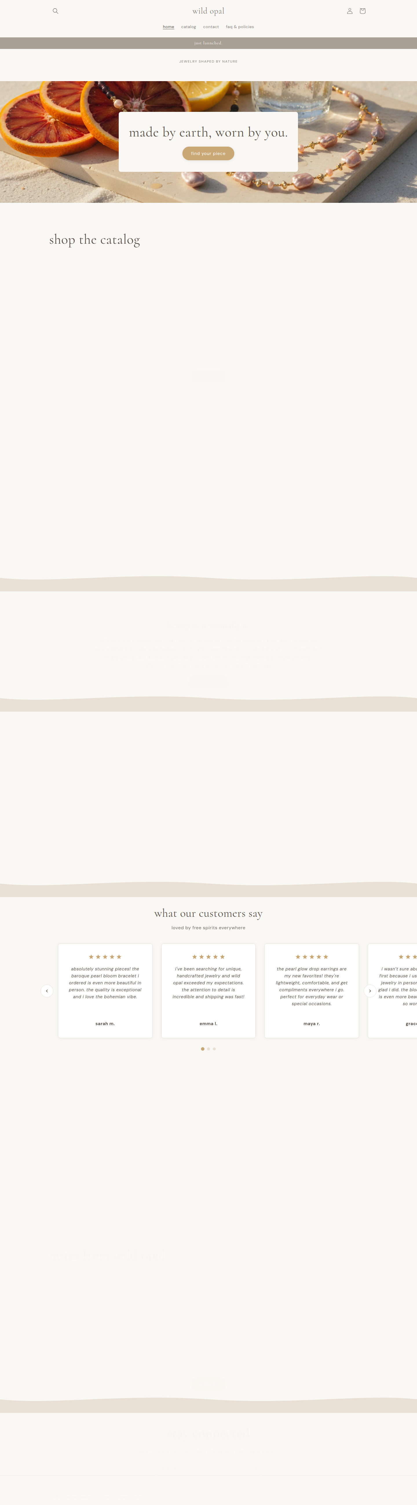 Homepage screenshot — desktop