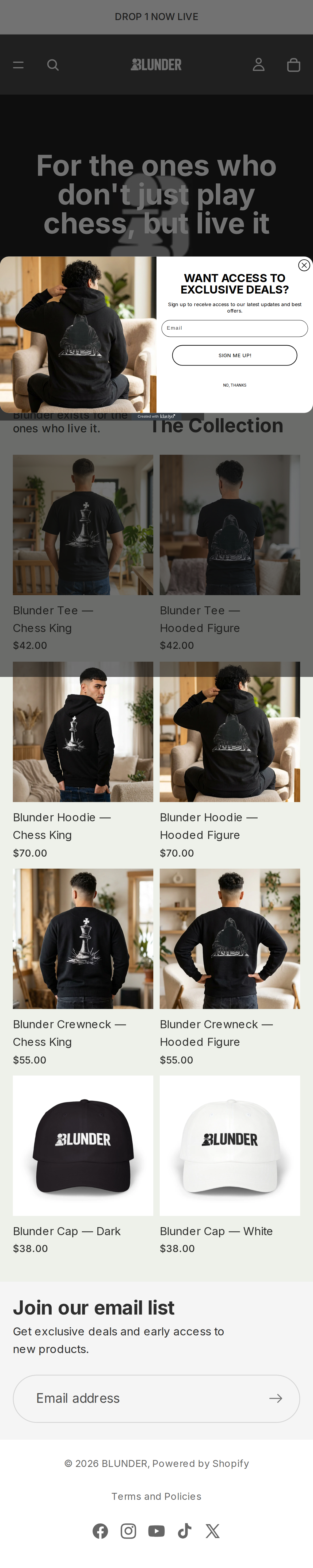 BLUNDER homepage on mobile